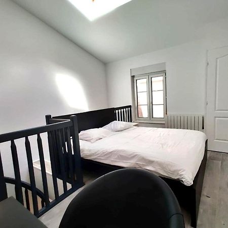 Nancy Hypercentre 34 Rue Des Dominicains ! Apartment Luaran gambar